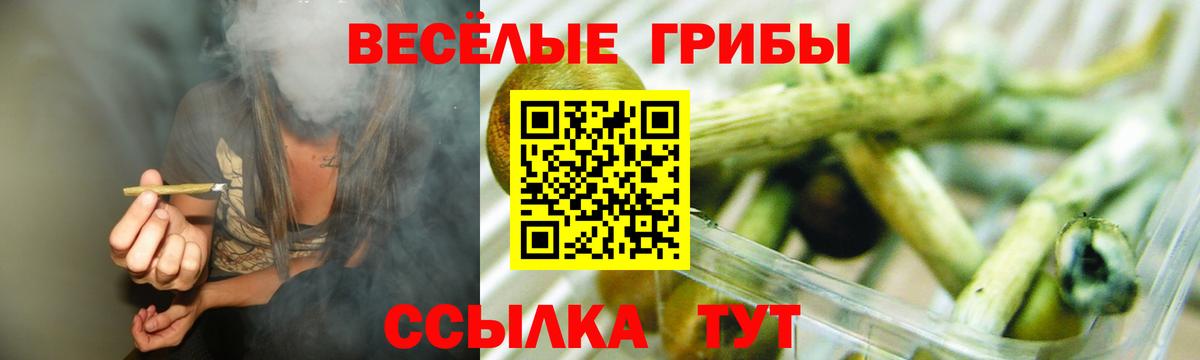 Михайловка  Псилоцибиновые грибы мицелий  Вход с VPN 
